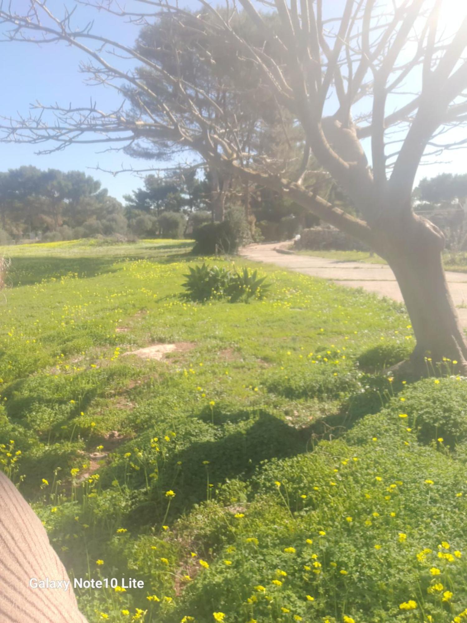Sogni Nel Blu Favignana Villa Exterior foto