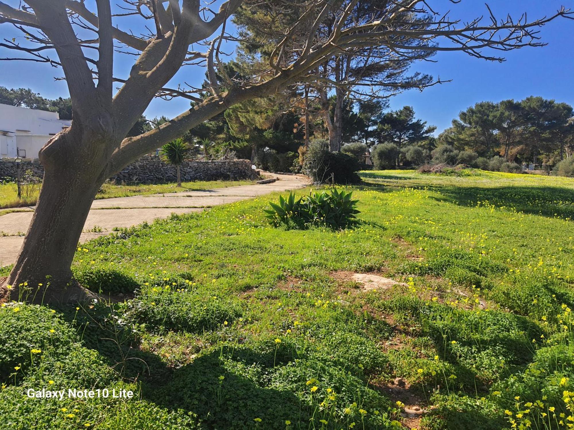 Sogni Nel Blu Favignana Villa Exterior foto