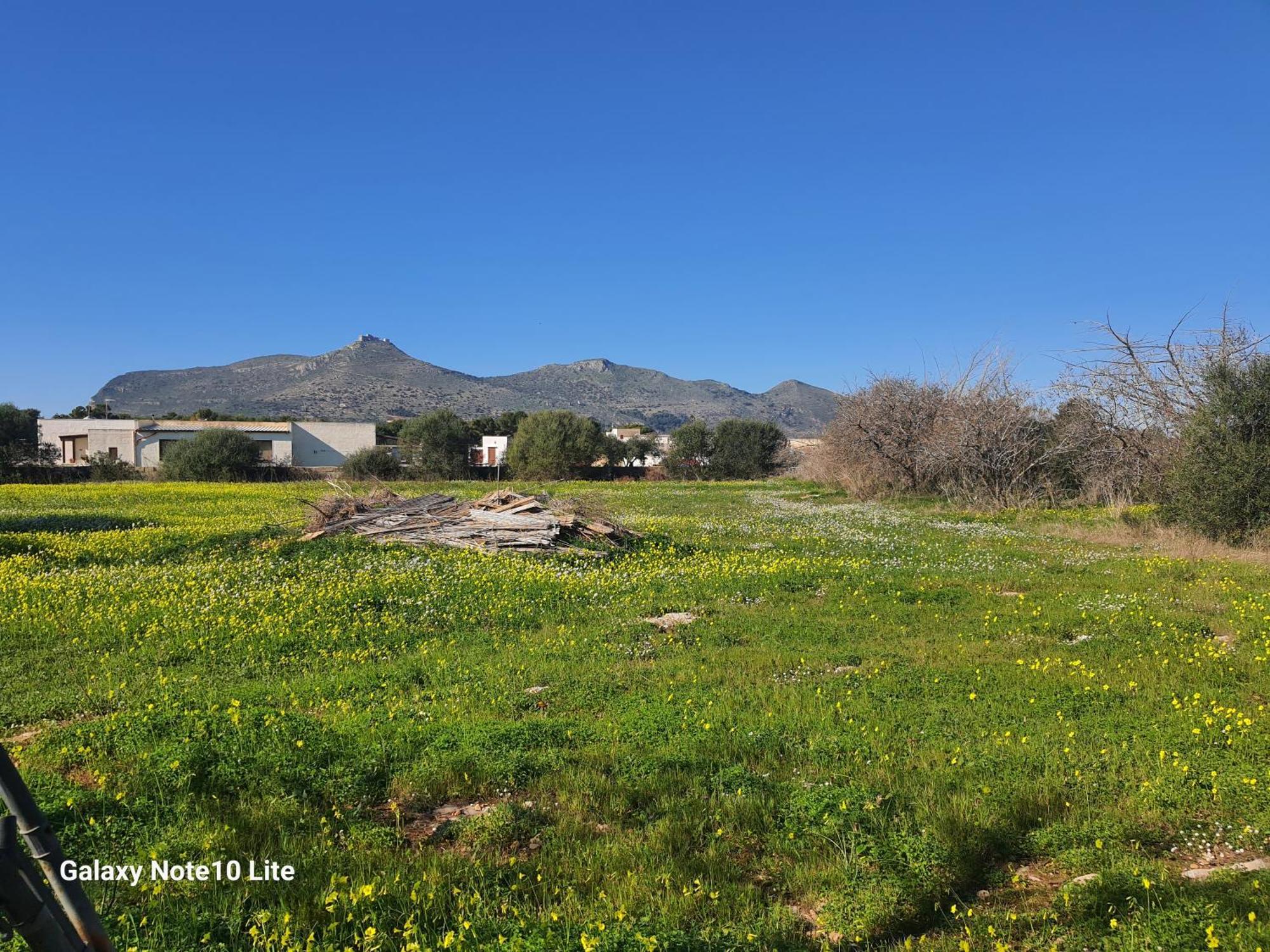 Sogni Nel Blu Favignana Villa Exterior foto