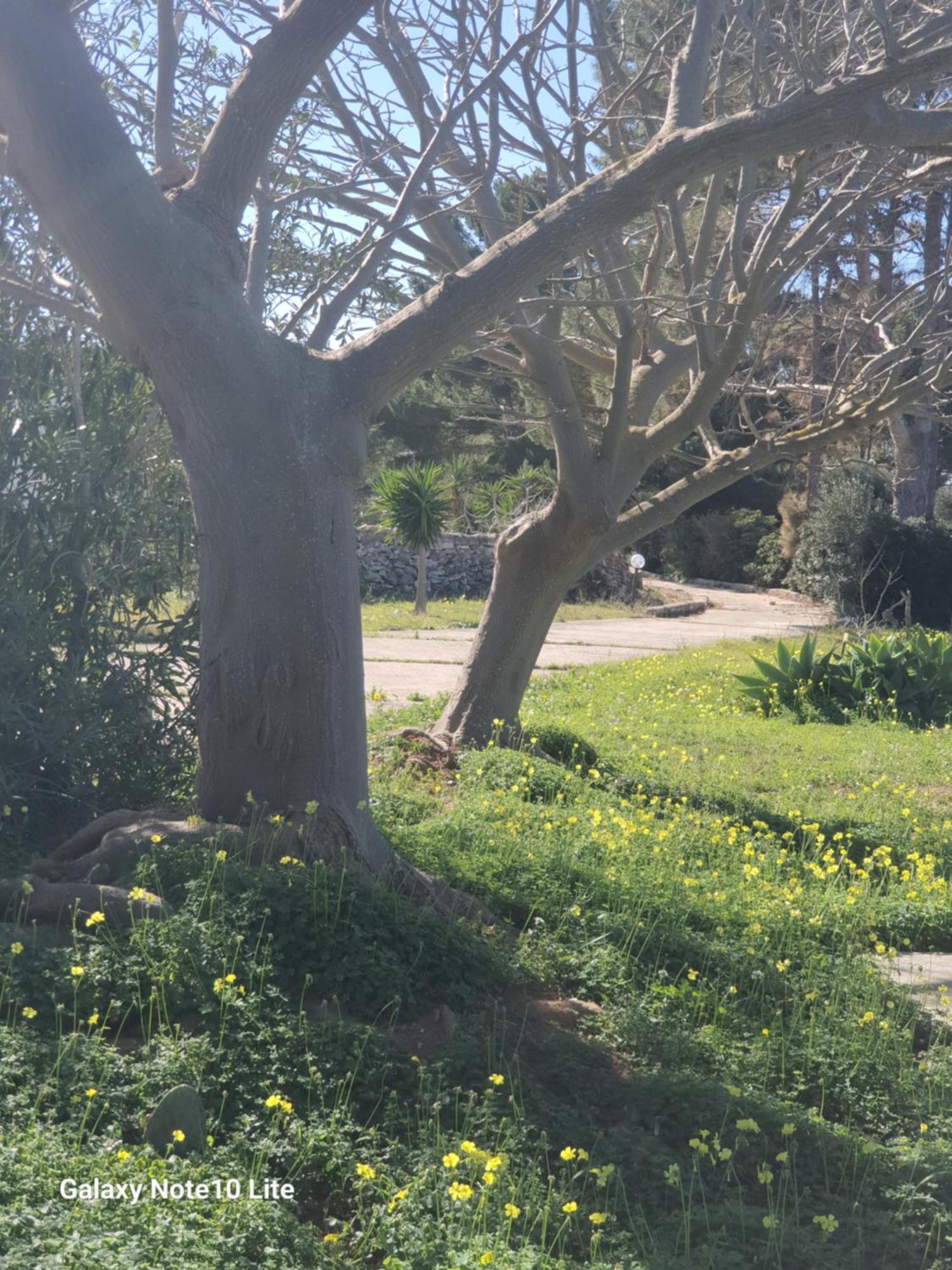 Sogni Nel Blu Favignana Villa Exterior foto